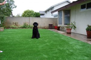 Mount Hope Artificial Turf Landscape Installation in 92102