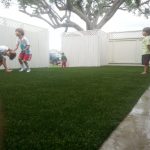 Synthetic Lawn Company Carlsbad, Top Rated Artificial Turf Installation Company