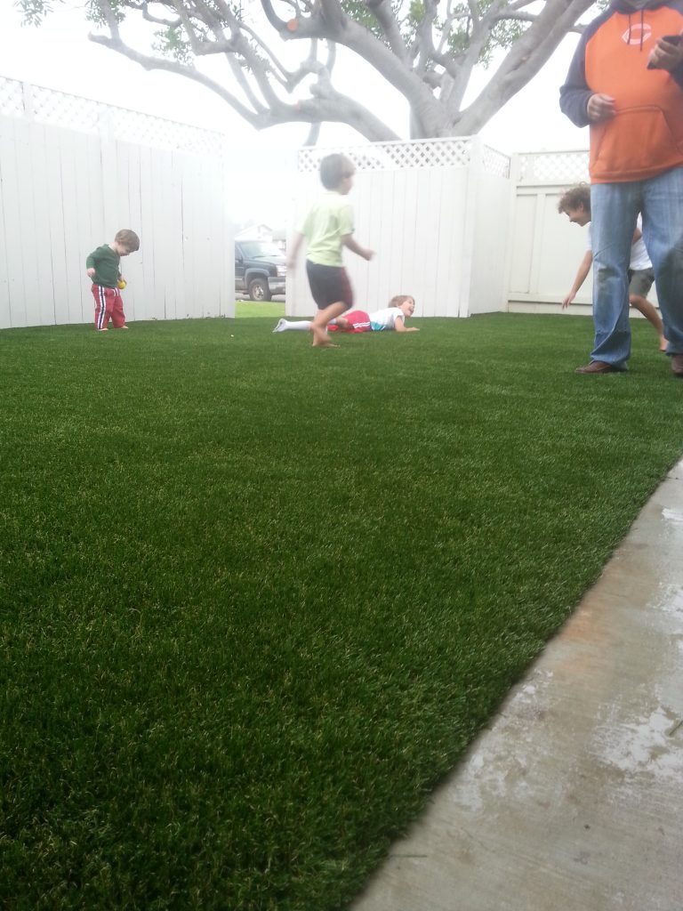 Synthetic Lawn Playground Installation Carlsbad, Best Artificial Turf Backyard Playgrounds
