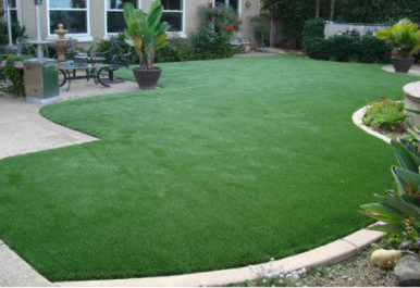 Reasons To Choose Artificial Grass Carlsbad
