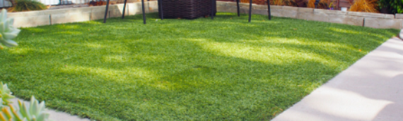 ▷Ways To Maintain Your Artificial Grass Lawn In Rainy Days Carlsbad