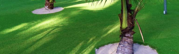 ▷7 Tips To Install Artificial Grass Around Tree Carlsbad