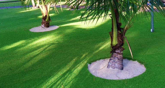 7 Tips To Install Artificial Grass Around Tree Carlsbad