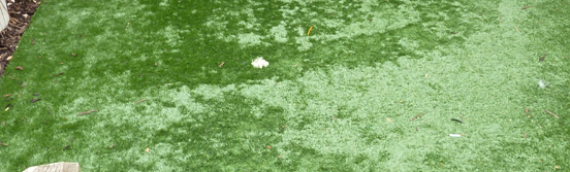 ▷How To Revive Flattened Artificial Grass Carlsbad?