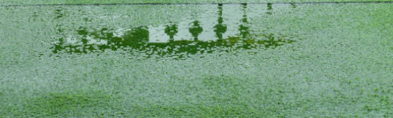 ▷How To Stop My Artificial Grass From Flooding Carlsbad?