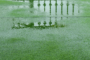 How To Stop My Artificial Grass From Flooding Carlsbad?