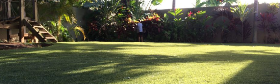 ▷How To Style Your Artificial Grass Lawn For Winter Holidays Carlsbad?