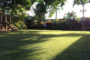 How To Style Your Artificial Grass Lawn For Winter Holidays Carlsbad?
