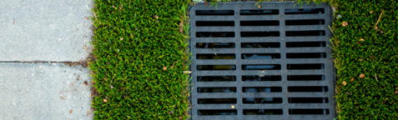 ▷7 Reasons That Artificial Turf Drains Well In Carlsbad