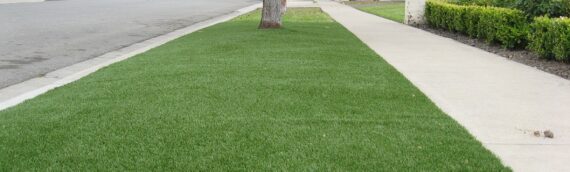 ▷How To Install Artificial Grass In Your Front Yard For Kids In Carlsbad?