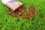 How To Remove Mild Stains From Artificial Grass In Carlsbad?