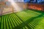 5 Reasons That Artificial Grass Is Perfect For Your Furry Friend In Carlsbad