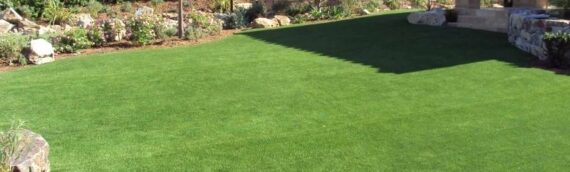 ▷5 Tips To Choose High Quality Artificial Grass In Carlsbad